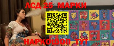 прущие грибы Кингисепп