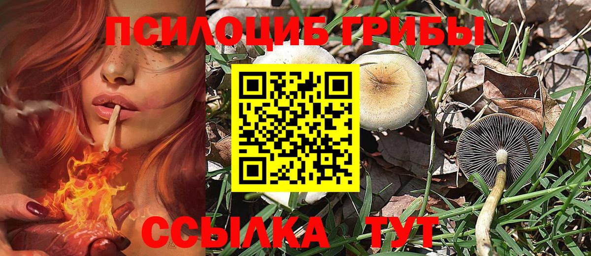наркотики  Вход с VPN  Куйбышев  Галлюциногенные грибы MAGIC MUSHROOMS 